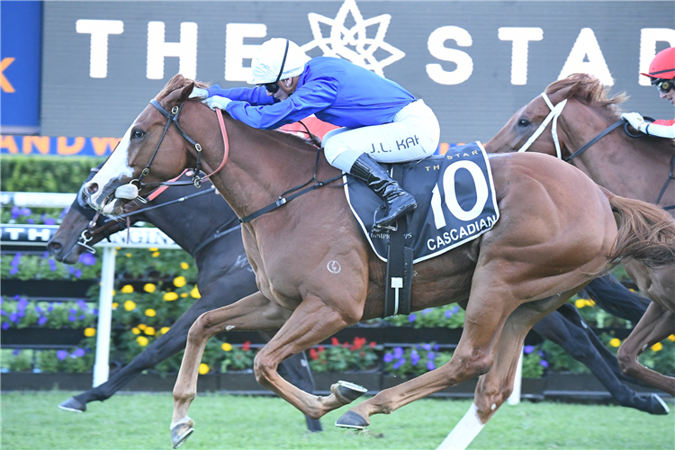 CASCADIAN winning the Doncaster Mile at Randwick in Australia.