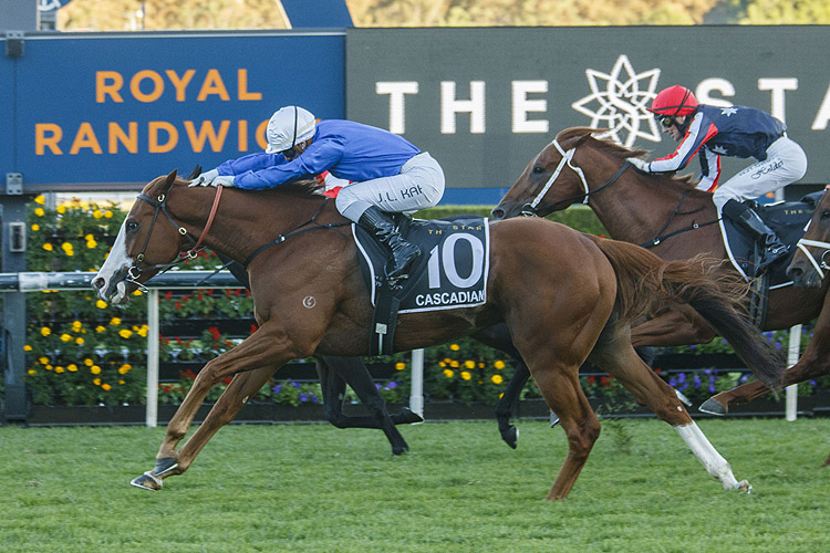 CASCADIAN winning the The Star Doncaster Mile