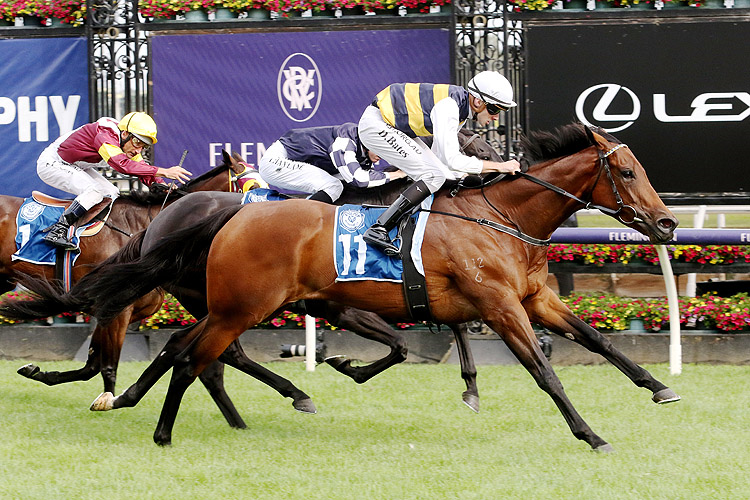 CHAILLOT winning the Furphy Ale Frances Tressady