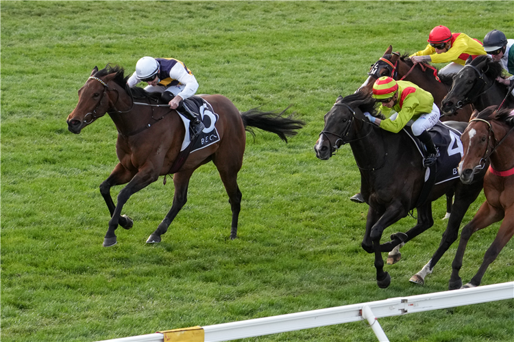 CHAILLOT winning the Testa Rossa Stks at Sandown in Australia.