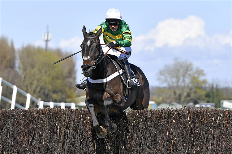 CHANTRY HOUSE winning the Betway Mildmay Novices' Chase (Grade 1) (GBB Race)