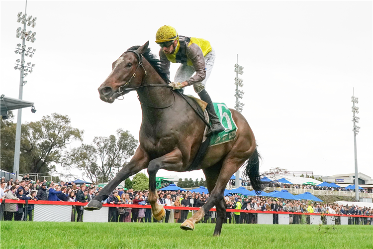 CHARTRES winning the Frankston Sand Soil Hcp at Cranbourne in Australia.