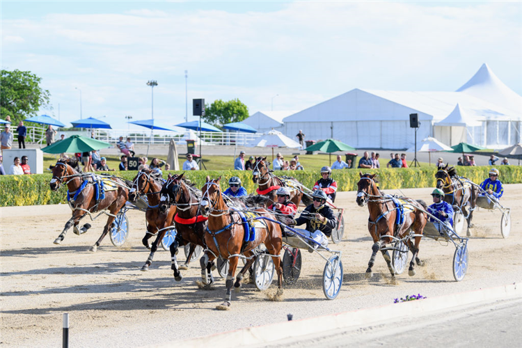 CHASE AUCKLAND winning the Woodlands NZ Pacing Free-For-All Mobile Pace at Addington Raceway in Christchurch, New Zealand.