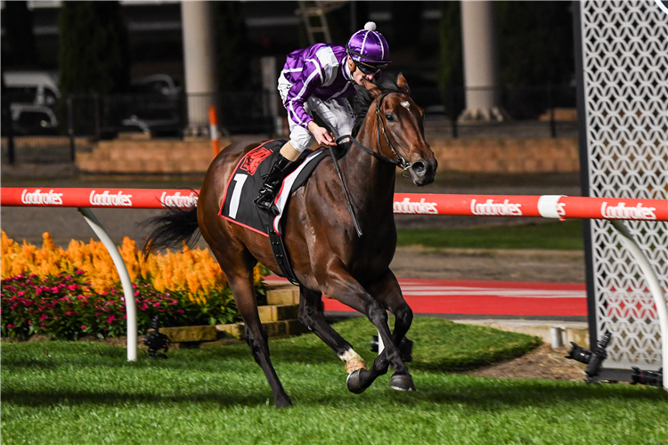 CHICA FUERTE winning the Alexandra Stakes at Moonee Valley.
