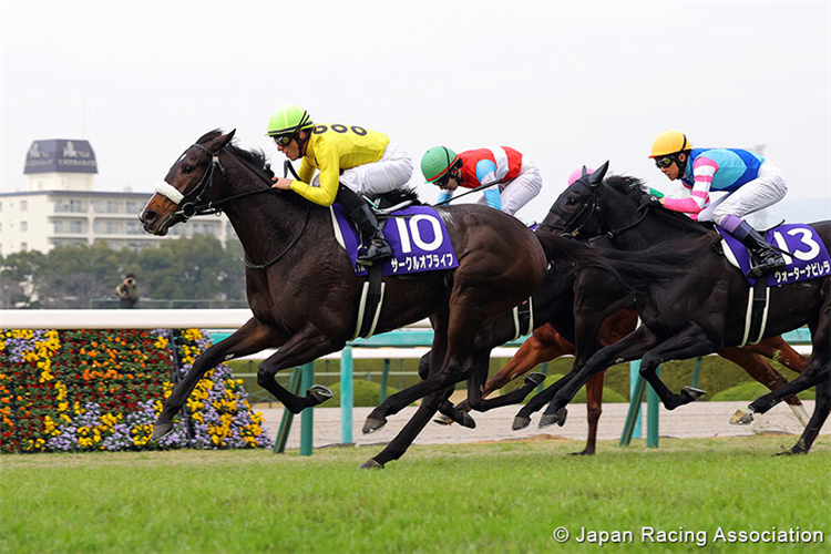 CIRCLE OF LIFE winning the Hanshin Juvenile Fillies at Hanshin in Japan.