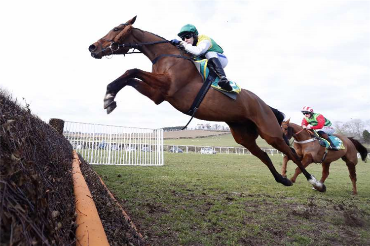 CLOTH CAP winning the bet365 Premier Chase (Listed) (GBB Race)