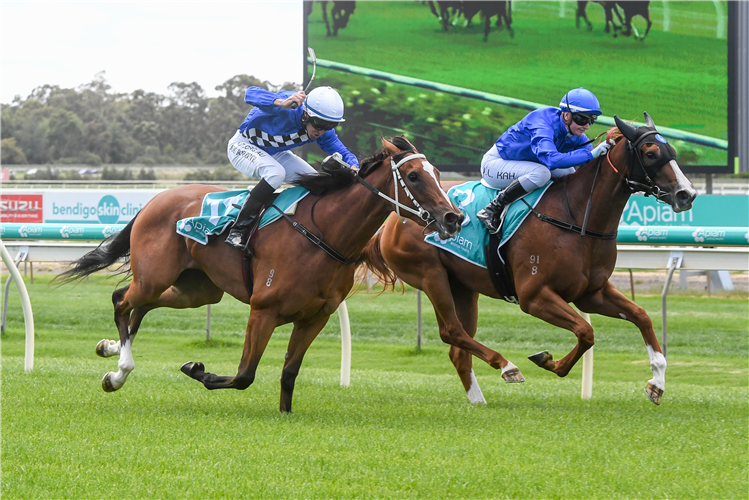 CLOUDY dead heats with SERADESS in the Roll the Dice Racing 2YO Fillies Maiden Plate in Bendigo, Australia.