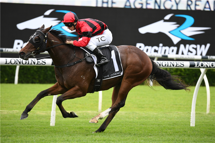 CONVERGE winning the Agency Real Estate Mile at Randwick in Australia.