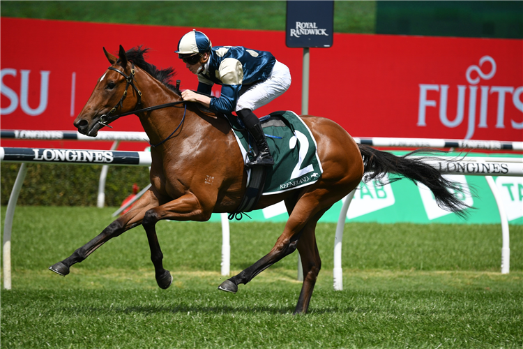 COOLANGATTA winning the Keeneland Gimcrack Stakes at Randwick in Australia.