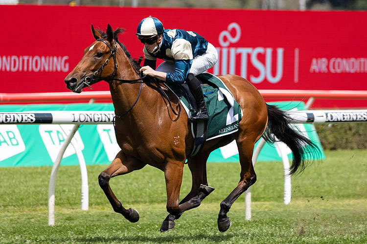 COOLANGATTA winning the Keeneland Gimcrack Stks