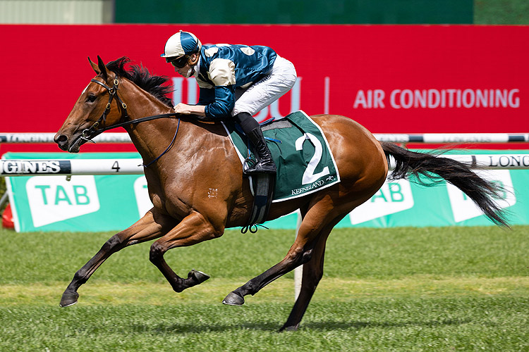 COOLANGATTA winning the Keeneland Gimcrack Stks