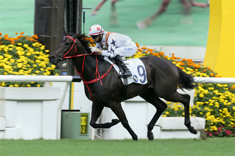 COURIER WONDER winning the The Sha Tin Vase