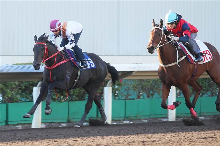Courier Wonder cruises to the line at Sha Tin.