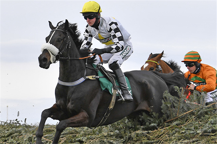 COUSIN PASCAL winning the Rose Paterson Randox Foxhunters' Open Hunters' Chase (National Course)