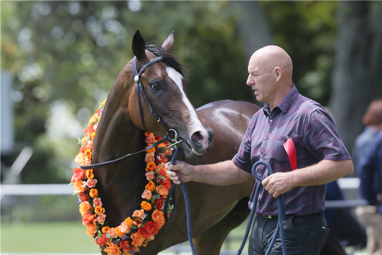 Group One performer Coventina Bay.