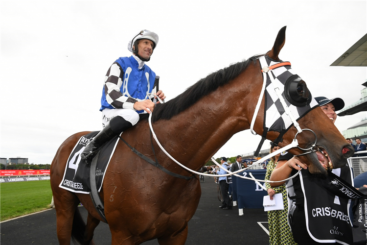 CRISTAL BREEZE after winning the Polytrack Prov Champs Final at Randwick in Australia.