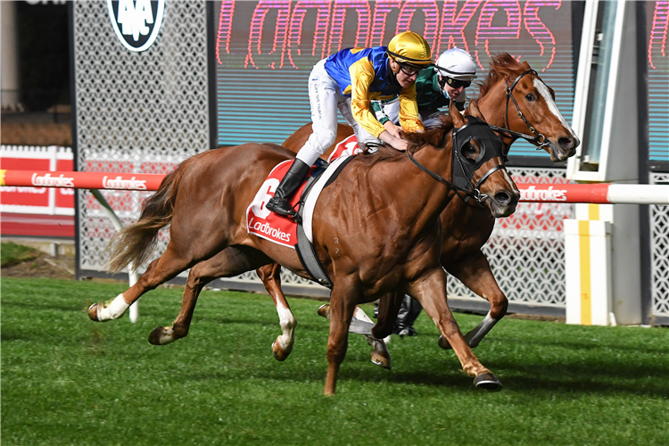 CURRAN winning the Ladbrokes 55 Second Challenge at Moonee Valley in Australia.