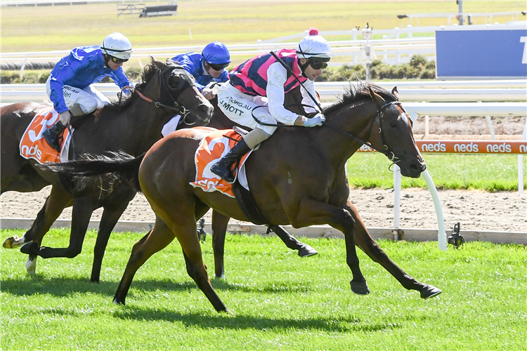 DAILY BUGLE winning the Cleanaway Sustainability Sires at Mornington in Australia.