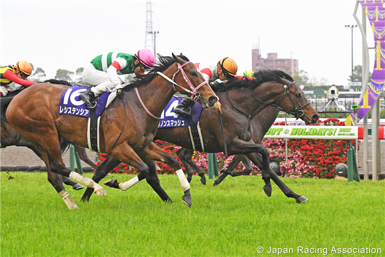 DANON SMASH (Orange Cap) winning the Takamatsunomiya Kinen at Chukyo in Japan.