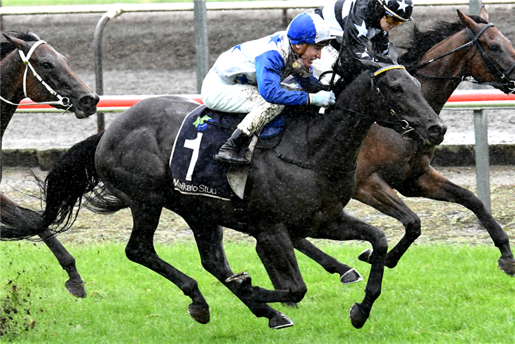 DARK DESTROYER winning the Mitchell Fam. Bonecrusher Stks