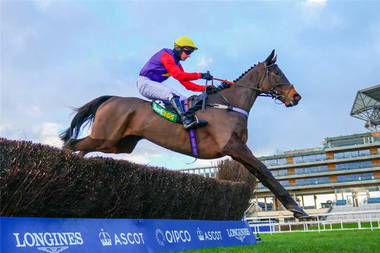 DASHEL DRASHER winning the bet365 Handicap Chase (GBB Race)