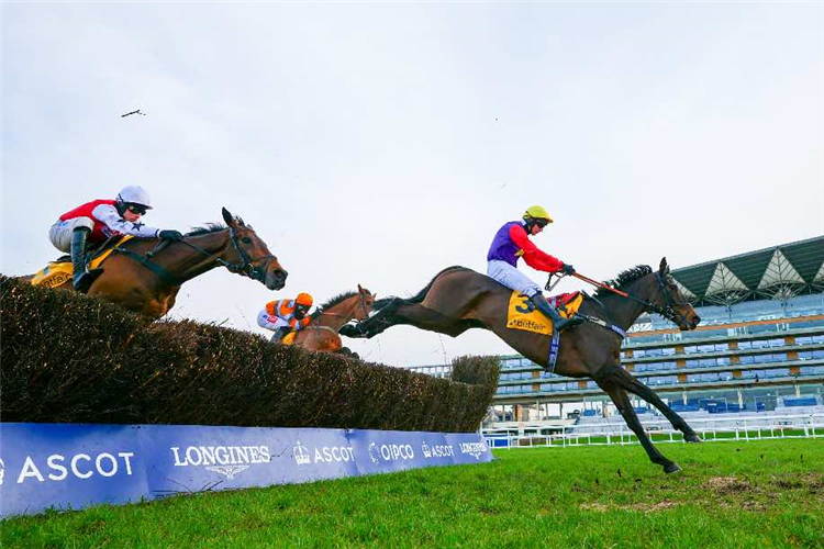 DASHEL DRASHER winning the Ascot Chase.