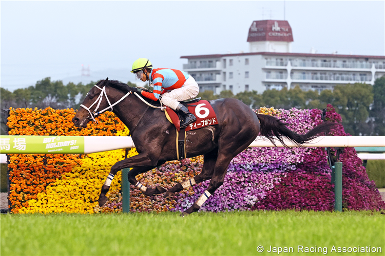 DEEP BOND winning the Hanshin Daishoten at Hanshin in Japan.