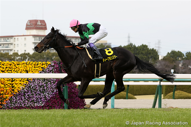 DEEP MONSTER winning the Sumire Stakes at Hanshin Japan.