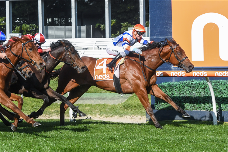 DEEP SPEED winning the Neds Filter Form Hcp at Caulfield in Australia.