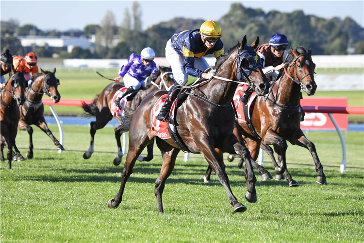 DEEPSTRIKE winning the Ladbrokes Easy Form (Bm64)