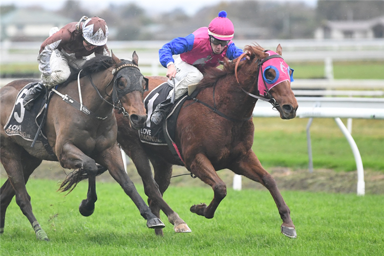 DEERFIELD winning the Winstone Wallboards Hcp