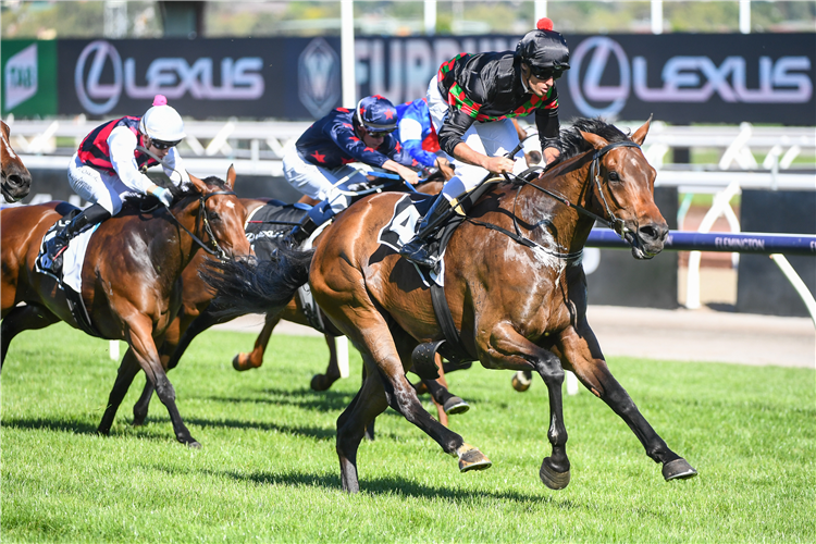 DEFIBRILLATE winning the Lexus Hcp at Flemington in Australia.