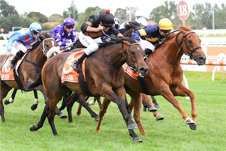 DEFIBRILLATE and HANG MAN (DH) winning the John Moule Hcp at Caulfield in Australia.