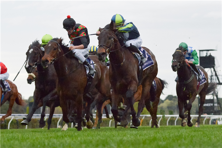 Defibrillate (black cap) charges into second at Flemington to keep his Gr.1 Melbourne Cup (3200m) campaign on target