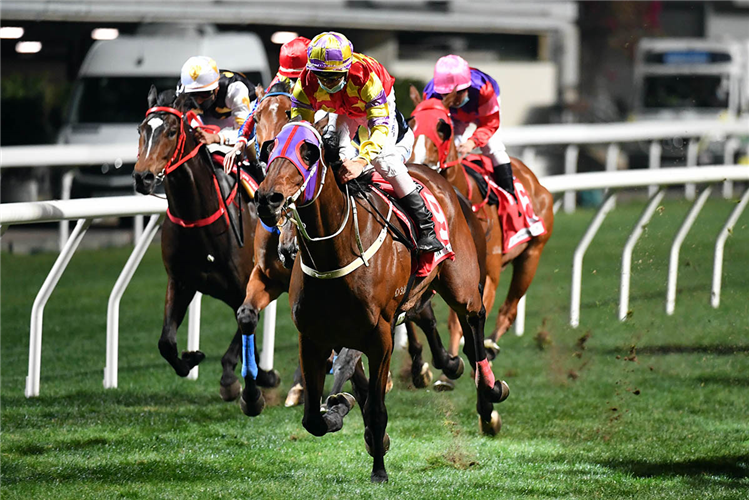 DELIGHTFUL LAOS winning the Chater Hcp (C2)