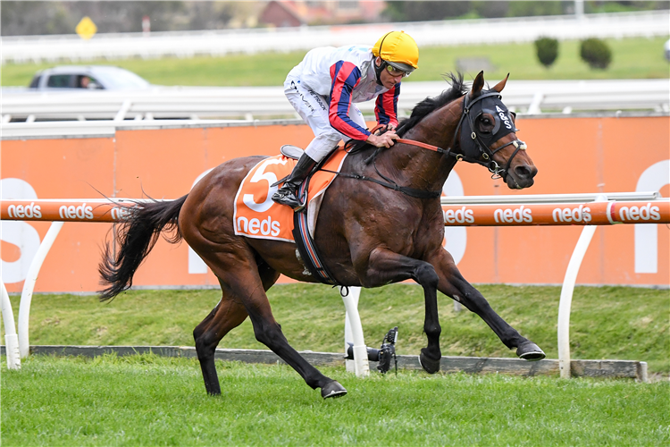 DELPHI winning the Herbert Power Stakes at Caulfield in Australia.