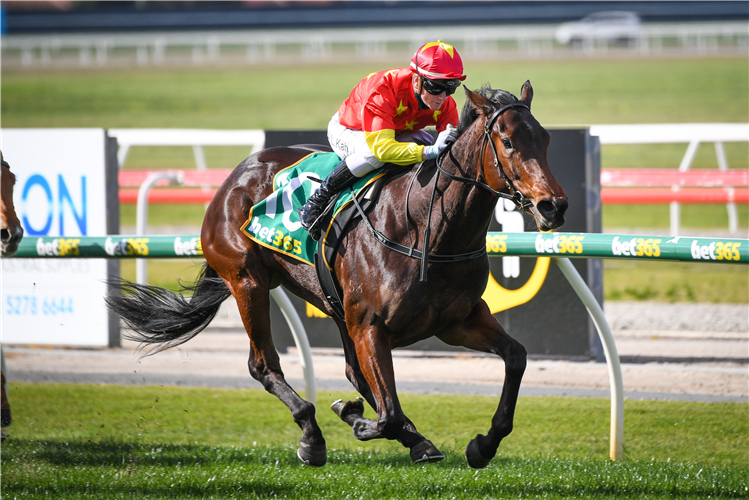 DEVOUT HERO winning the JT Dixon Three-Years-Old Fillies Maiden Plate in Geelong, Australia.