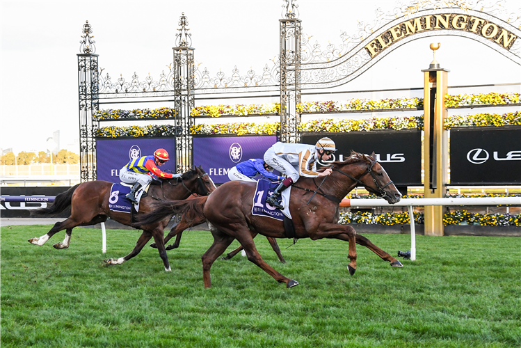 DICE ROLL winning the Brian Beattie Hcp at Flemington in Australia.