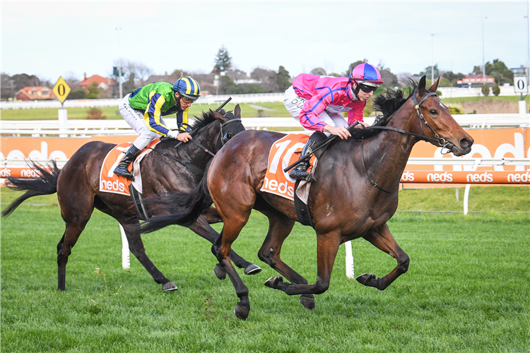 DIVINE DIOSA winning the Take It To The Neds Level Hcp at Caulfield in Australia.