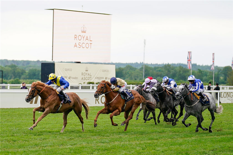 DREAM OF DREAMS winning the Diamond Jubilee Stakes at Ascot in England.