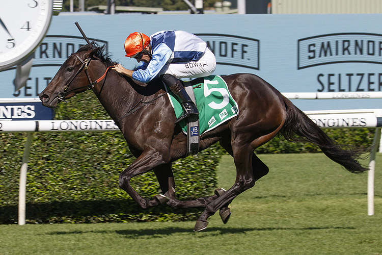 DUAIS winning the Tab Adrian Knox Stks