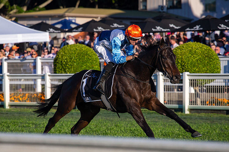 DUAIS winning the James Squire Queensland Oaks