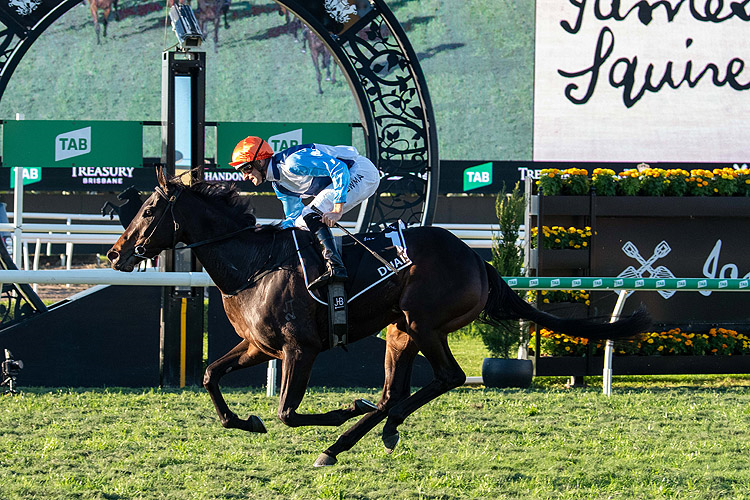 DUAIS winning the James Squire Queensland Oaks