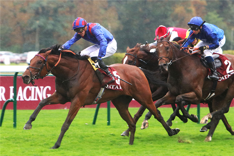 Dubai Honour has won three of his last four starts, including two G2s in France.