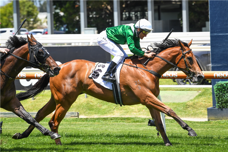 EBHAAR winning the T'bred Club Merson Cooper Stks at Caulfield in Australia.