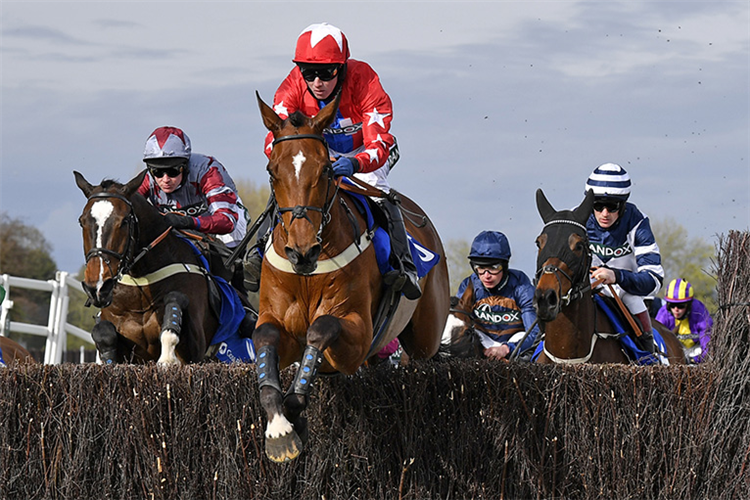 EDITEUR DU GITE winning the Close Brothers Red Rum Handicap Chase (Grade 3) (GBB Race)