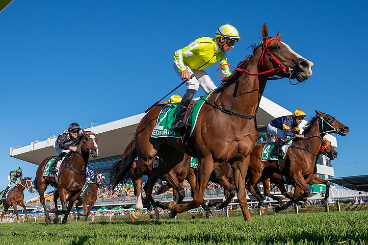 Racing at Doomben.