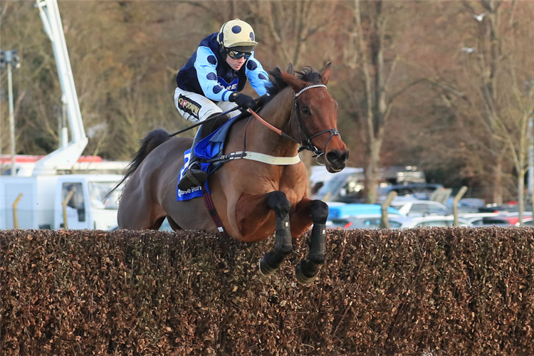 EDWARDSTONE winning the Close Brothers Henry VIII Novices' Chase (Grade 1) (GBB Race).