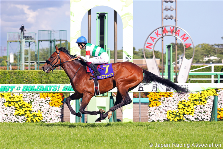 EFFORIA winning the Satsuki Sho at Nakayama in Japan.