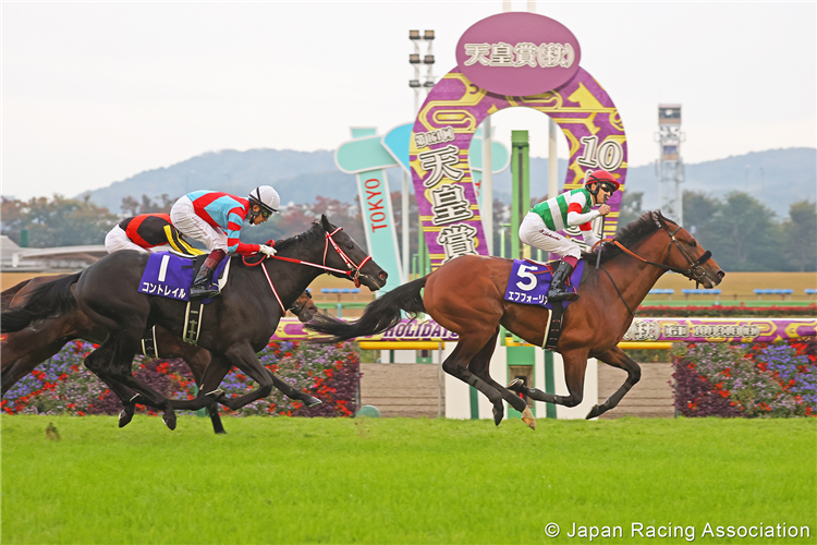 EFFORIA winning the Tenno Sho (Autumn) at Tokyo in Japan.